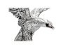 Статуэтка "Взлетающий орел"